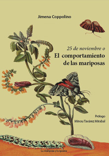 Teatro dominicano para eliminar la Violencia contra la Mujer