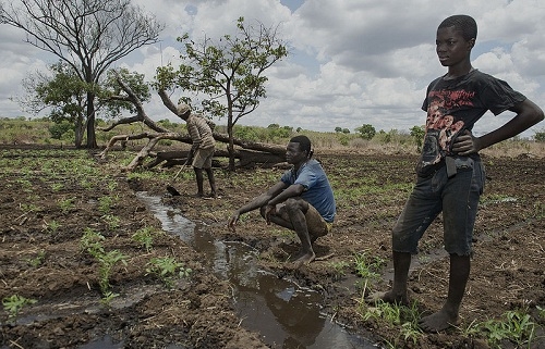 AECID subvencionará con tres millones de euros la innovación para el desarrollo