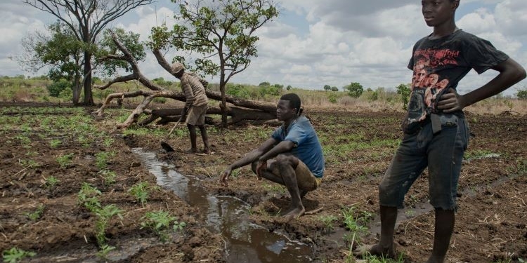 AECID concede 32 millones de euros a 68 ONGD para 88 proyectos de cooperación