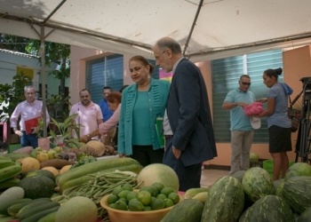 La Cooperación Española mejora los sistemas de riego en Nicaragua