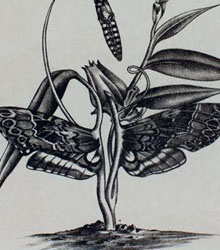 Colombia participa en la Feria de Arte Contemporáneo ARCO MADRID 2022