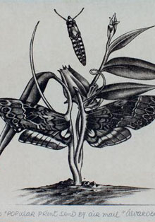 Colombia participa en la Feria de Arte Contemporáneo ARCO MADRID 2022