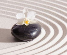 Casa Asia organiza el curso online Aprendemos con ‘Zen, el oficio de vivir’