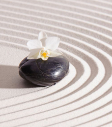 Casa Asia organiza el curso online Aprendemos con ‘Zen, el oficio de vivir’