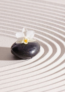 Casa Asia organiza el curso online Aprendemos con ‘Zen, el oficio de vivir’