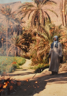 Continúa hasta septiembre la muestra ‘Arenas movedizas’ en Casa Árabe