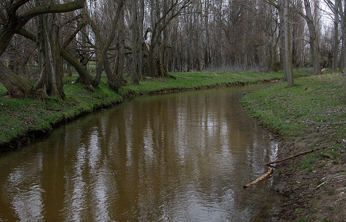 Bruselas financiará proyectos medioambientales y climáticos en el Duero y Navarra