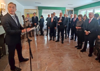 “La neutralidad de Austria no significa mantenerse políticamente al margen» de un conflicto