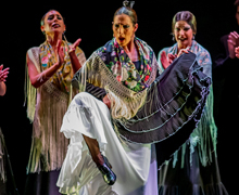 El Ballet Flamenco de Andalucía se reivindica en los Teatros del Canal