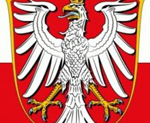 El Instituto Polaco de Cultura prosigue sus Cursos de Polaco online