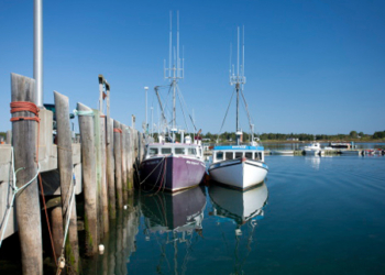 El sector pesquero de Canadá vuelve a apostar por la feria Conxemar de Vigo