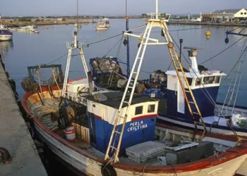 La Comisión Europea aprueba el incremento de ayudas a la pesca y el transporte