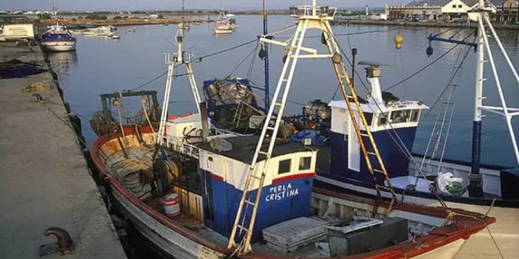 La Comisión Europea aprueba el incremento de ayudas a la pesca y el transporte