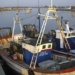 La Comisión Europea aprueba el incremento de ayudas a la pesca y el transporte