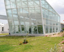 Casa Árabe muestra el beneficio del potencial económico de Túnez