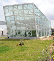 Casa Árabe muestra el beneficio del potencial económico de Túnez