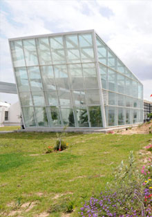 Casa Árabe muestra el beneficio del potencial económico de Túnez