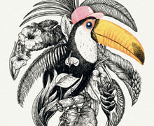 Ilustradores franceses y españoles en ‘Blanco, negro, color’, en el Instituto Francés