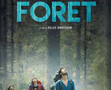 ‘Bosque adentro’ de Gilles Marchand, en el Instituto Francés de Madrid