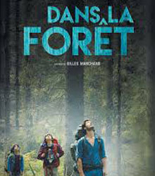 ‘Bosque adentro’ de Gilles Marchand, en el Instituto Francés de Madrid