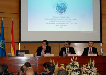 El COI subraya en el Día del Olivo sus beneficios para la salud y el medio ambiente