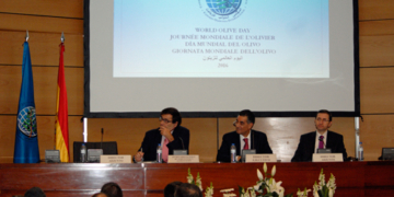 El COI subraya en el Día del Olivo sus beneficios para la salud y el medio ambiente