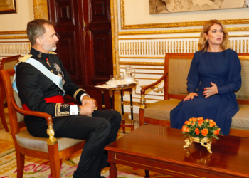 Seis nuevos embajadores presentan credenciales al rey Felipe VI