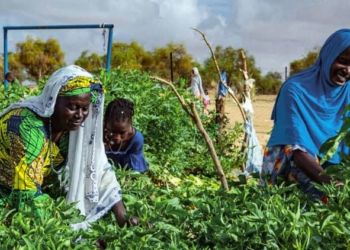 Foto: Naciones Unidas