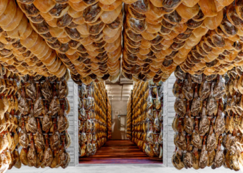 Chefs húngaros reciben formación sobre el jamón curado en Segovia