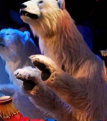 La Navidad llega al Circo Price con ‘Los viajes de Marco y Pili’