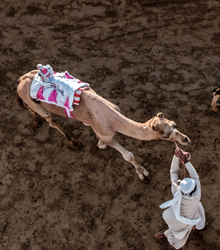 Lazos de cultura española y emiratí en la exposición ‘Conceptos paralelos’