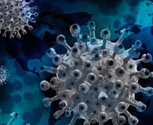 Conferencia en el Instituto Francés: España y Francia frente a la Covid-19