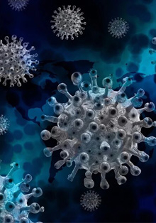 Conferencia en el Instituto Francés: España y Francia frente a la Covid-19