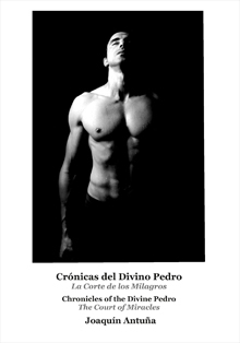 Centro Riojano presenta ‘Crónicas del divino Pedro’, de Joaquín Antuña