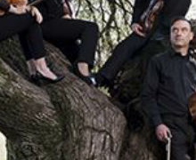 Concierto del Diogenes Quartett en el Instituto Goethe de Madrid