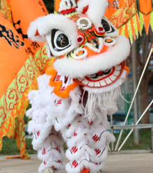 La Danza del León “Doble Suerte” china, en los Veranos de la Villa