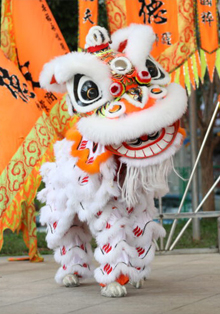 La Danza del León “Doble Suerte” china, en los Veranos de la Villa