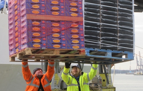 España es el primer exportador del mundo de frutas y hortalizas