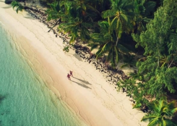 República Dominicana, entre los miembros de la OMT con mejor recuperación del turismo