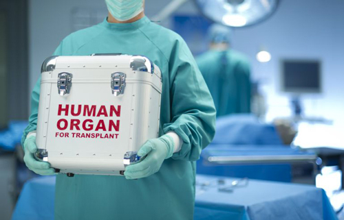 España sigue líder mundial en trasplantes de órganos con nuevo récord