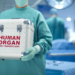 España sigue líder mundial en trasplantes de órganos con nuevo récord