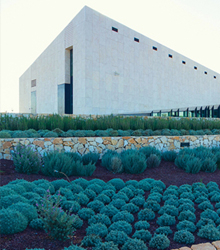 Conferencia de la directora del Museo Palestino en Casa Árabe