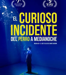 ‘El curioso incidente del perro a medianoche’ y el síndrome de Asperger