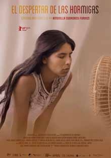 Casa América proyecta la película ‘El despertar de las hormigas’