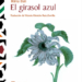 Casa Árabe presenta la novela ‘El girasol azul’, de la siria Rima Bali