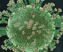 ‘El impacto del coronavirus en los países árabes’ en Casa Árabe