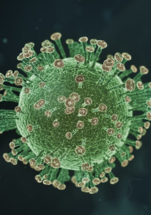 ‘El impacto del coronavirus en los países árabes’ en Casa Árabe