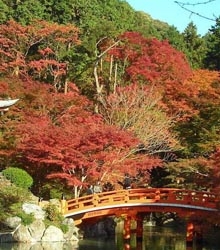 Conferencia Online ‘Cuando la naturaleza se hace arte: el jardín japonés’