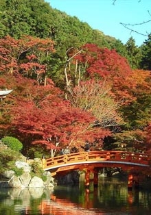 Conferencia Online ‘Cuando la naturaleza se hace arte: el jardín japonés’