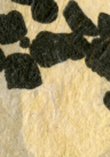 Casa de México expone la relación entre Seamus Heaney y Jan Hendrix